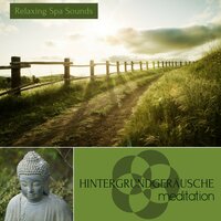 Musik Therapie - Relaxing Spa Sounds