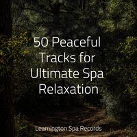 Blissful Relaxation - Baby Sleep Lullaby Academy & SleepTherapy & Lullaby Rain