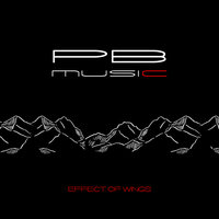 Effect of Wings - Phillipo Blake