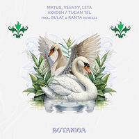 Akkosh - Matur & Veenyy & Ranta