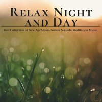 Soothing Atmosphere - Inside Trace