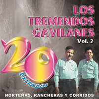 Cuando Salgo a Los Campos - Los Tremendos Gavilanes
