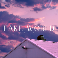 Fake World - Mzade