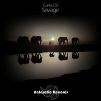 Harmful Noise - Carles DJ