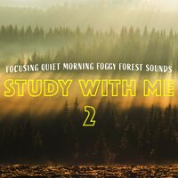 Focusing Quiet Morning Foggy Forest Sounds, Pt. 18 - Bryan Maxwell