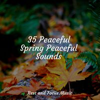 Fresh Mountain Breeze - Meditation & Stress Relief Therapy & Pet Care Music Therapy & Deep Sleep Meditation