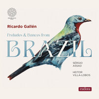 Préludes, W419: No. 5 in D Major - Ricardo Gallén & Эйтор Вилла-Лобос