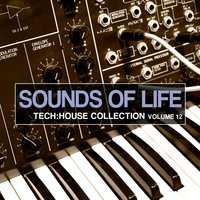 Your Elements - Ted Nilsson & Joe Flex & The Str8jackets