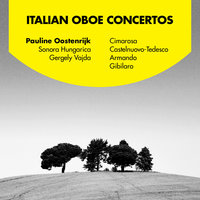 Concerto in C Minor for Oboe and Strings: IV. Allegro giusto - Pauline Oostenrijk & Pauline Oostenrijk, Sonora Hungarica and Gergely Vajda