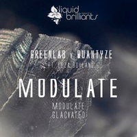 Modulate - Greenlab & Quantyze & Leza Boyland