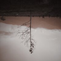 Amor Vincit Omnia - Oleg Byonic & Stephey