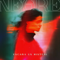 Salsa Picant - Negrè