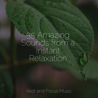 Calm This Evening - Sounds of Nature White Noise Sound Effects & Relaxing Sleep Music & Yoga