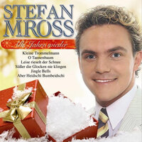 Musikanten Weihnacht - Stefan Mross