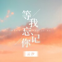 等我忘记你 - 云汐
