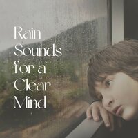 Uncomplicated Rain - 24H Rain Sounds