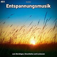 Entspannungsmusik pt. 70 - Einschlafen
