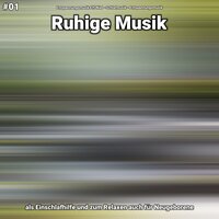 Ruhige Musik Teil 50 - Entspannungsmusik Elfi Niel & Schlafmusik & Entspannungsmusik
