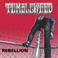 Rebellion - Tumbleweed