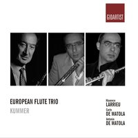 Flute Trio in G Major, Op. 24: III. Rondo - Maxence Larrieu & Antonio de Matola & Maxence Larrieu, Carlo de Matola, Antonio de Matola & Carlo De Matola