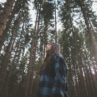 Calm Lofi Night Unwind - LofiCentral & Sounds of the Jungle & Relaxation Harmonies