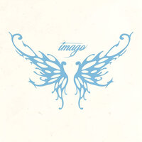 2005 - Imago