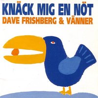 Bara Ditt Fejs Är Snyggt - Sylvia Vrethammar