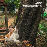 Binaural Peace - Cat Music & Pet Care Club & Music for Dog's Ears