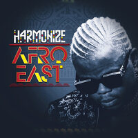 Never Give Up - Harmonize
