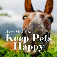 Relaxing Puppy Music - Jazz Pets Relax