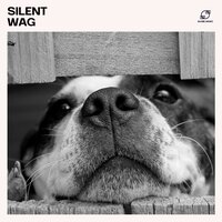 Soft Whines - Dog Sleep Dreams & Soothing Dog Sounds & Music for Dogs & Healing Dog Music