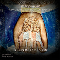 Се время покаяния - Братский хор Свято-Елисаветинского монастыря под управлением Евгения Прокофьева