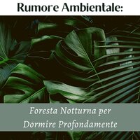 Rumore ambientale - Temporale d'Estate