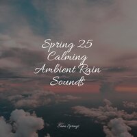 Stormy Streets - Nature Soundscape & Tranquil Music Sounds of Nature & The Rain Library