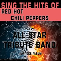 Scar Tissue - All Star Tribute Band