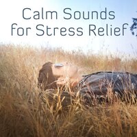 New Age Music - Relaxing Sounds of Nature
