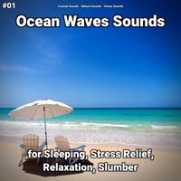 Ocean Waves Sounds Part 56 - Coastal Sounds & Nature Sounds & Ocean Sounds