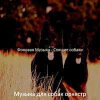 Моменты (Выгул собак) - Музыка для собак оркестр