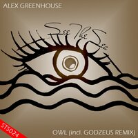 Owl - Alex Greenhouse