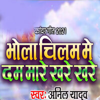 Bhola Chilam Me Dam Mare Khare Khare - anil yadav