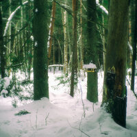 The Frozen Landscapes - Valotihkuu