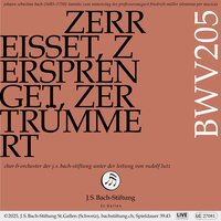 Zerreißet, zersprenget, zertrümmert die Gruft, BWV 205: X. Rezitativ (Sopran, Bass) - Mein Aeolus / So sage mir - Orchester der J.S. Bach-Stiftung & Rudolf Lutz & Ulrike Hofbauer & Dominik Wörner & Johann Sebastian Bach