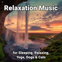 Serene Music Pt. 79 - Yoga Music & Relaxing music & Yoga