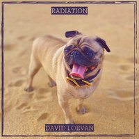 une eau trouble - DAVID LOEVAN