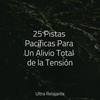 Puesta De Sol en La Montaña - Musica Para Meditar y Relajarse & Musica Relajante Piano Master & Sons da Natureza Relax