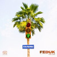 Пальмы - FEDUK