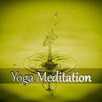 Pain Killers (Birds Sounds) - Yoga Meditation Music Set
