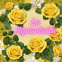 La Aguantaita - Grupo Fantasía & Son Paraná