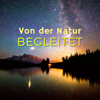 Stress Abbauen - Traumfänger