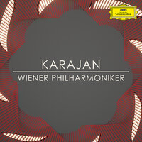 Verdi: Don Carlo / Act 2 - Sire! egli è tempo ch'io viva! - Norbert Balatsch & Sena Jurinac & Anneliese Rothenberger & Eugenio Fernandi & Ettore Bastianini & Cesare Siepi & Wiener Philharmoniker & Джузеппе Верди